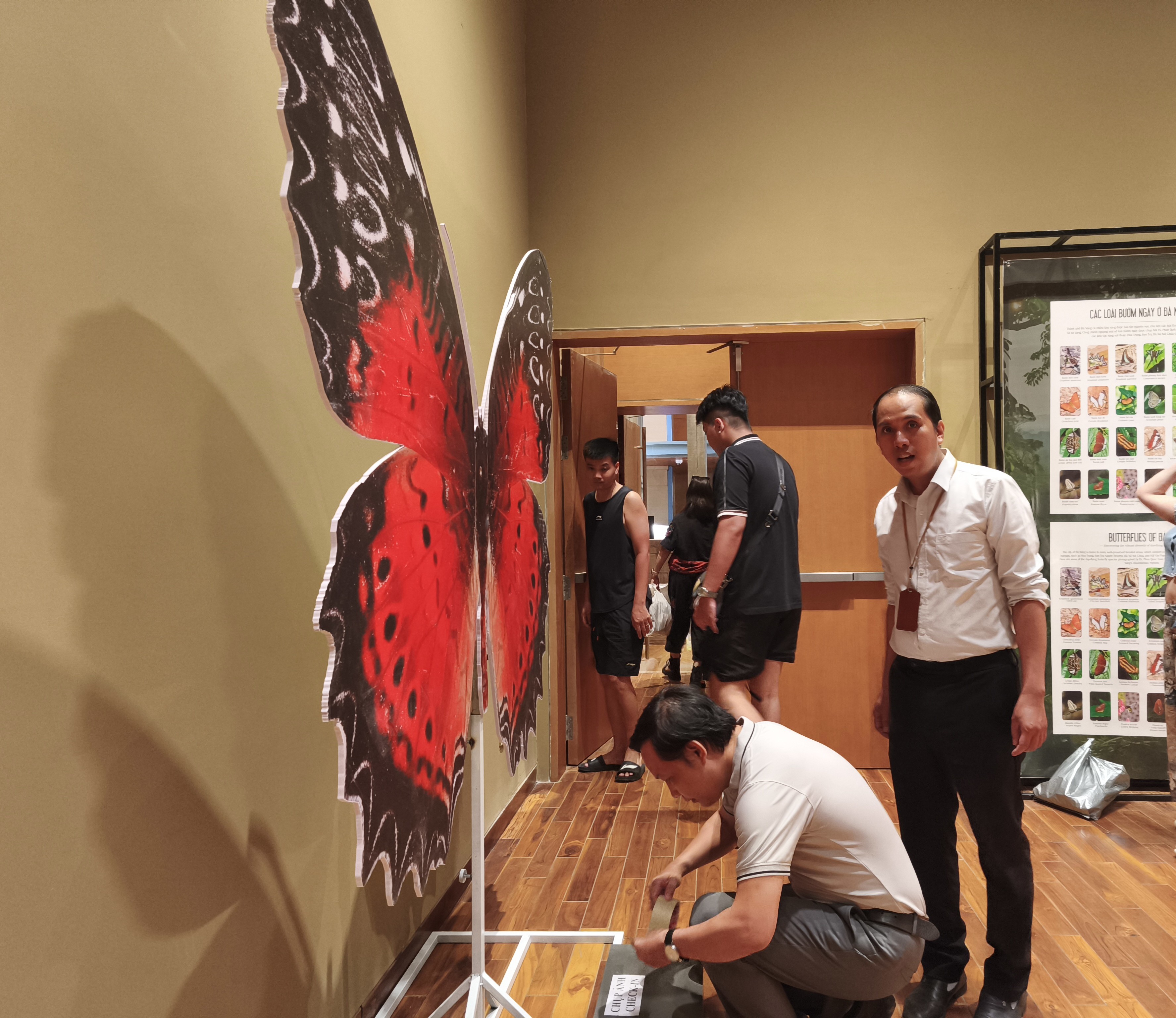 दा नांग संग्रहालय में