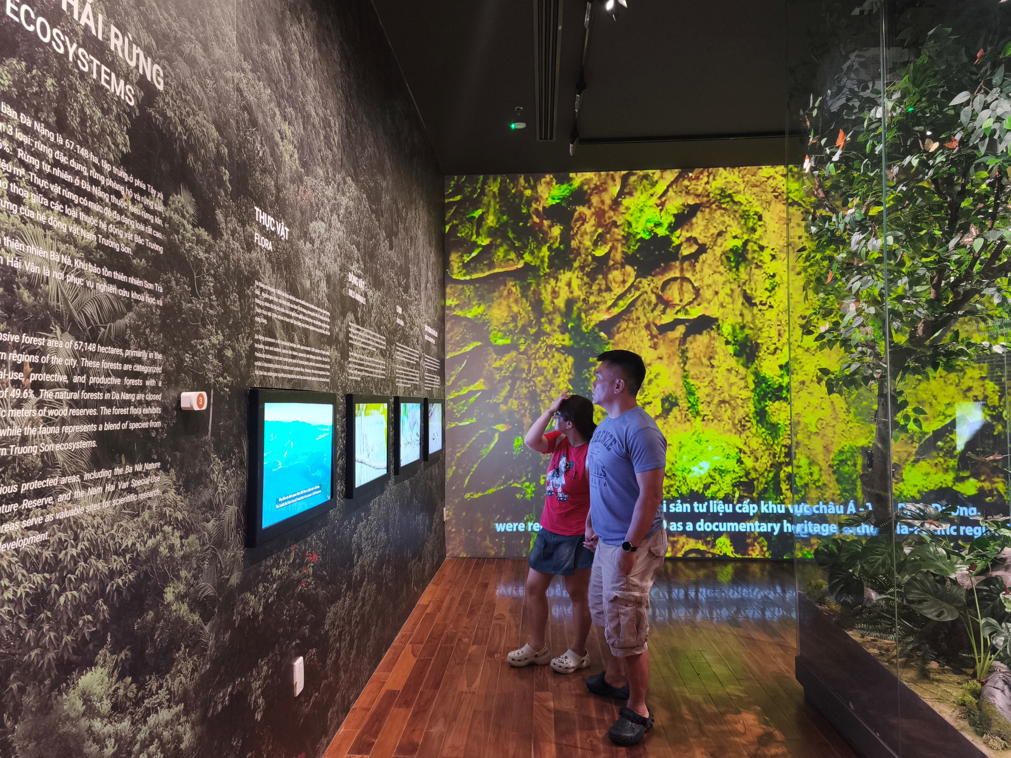 दा नांग संग्रहालय में