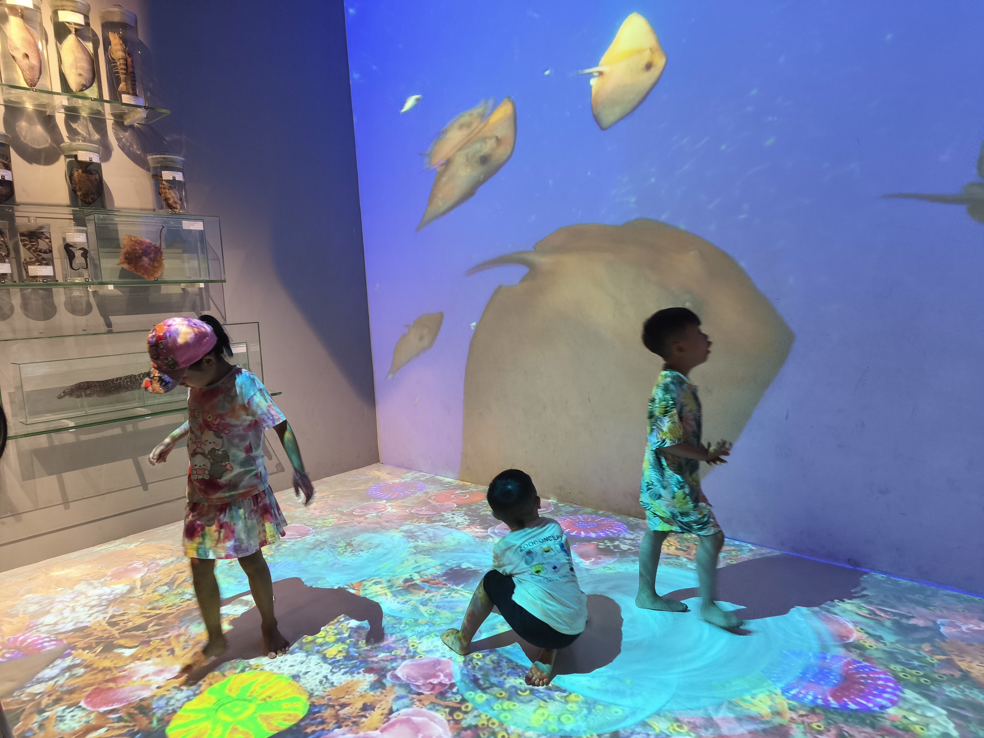 दा नांग संग्रहालय में