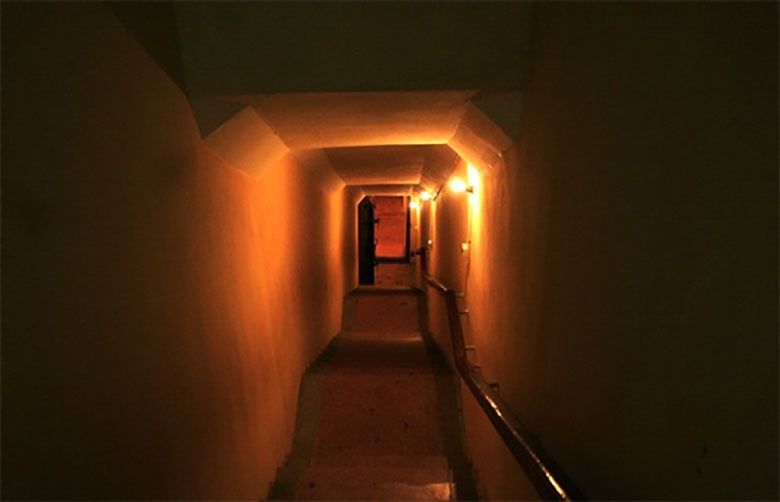 Série výstav k oslavě Srpnové revoluce a Národního dne 2. září v Císařské citadele Thang Long - foto 2