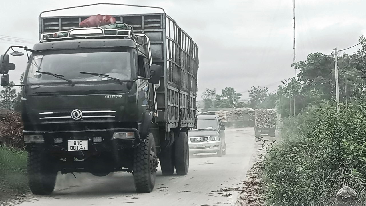 Xã Phú An (Gia Lai): Nhiều xe trọng tải chở gỗ keo gây ô nhiễm môi trường khu dân cư - ảnh 1