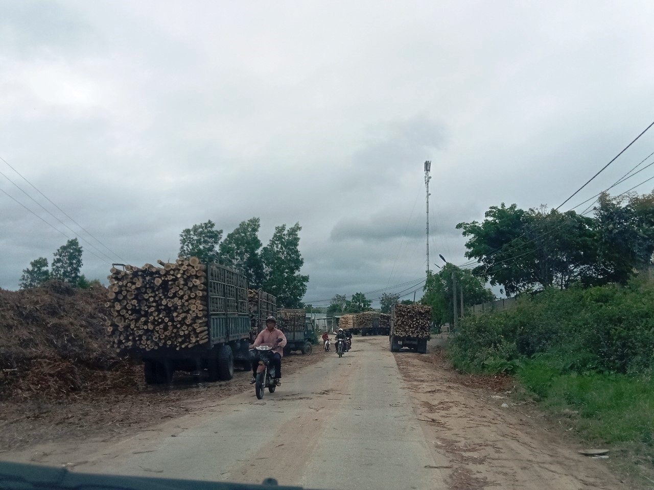 Xã Phú An (Gia Lai): Nhiều xe trọng tải chở gỗ keo gây ô nhiễm môi trường khu dân cư - ảnh 2