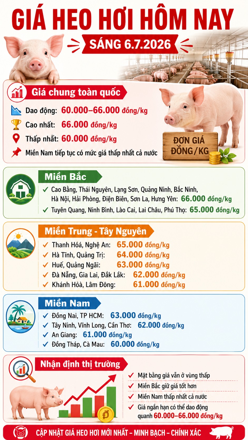 Giá heo hơi hôm nay 6.7: Miền Bắc giữ giá tốt hơn, thị trường đi ngang - ảnh 3