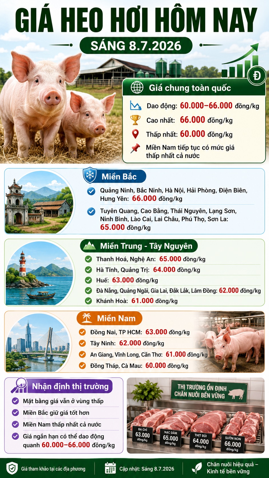 Giá heo hơi hôm nay 8.7: Miền Bắc giữ giá tốt hơn, thị trường còn trầm - ảnh 3