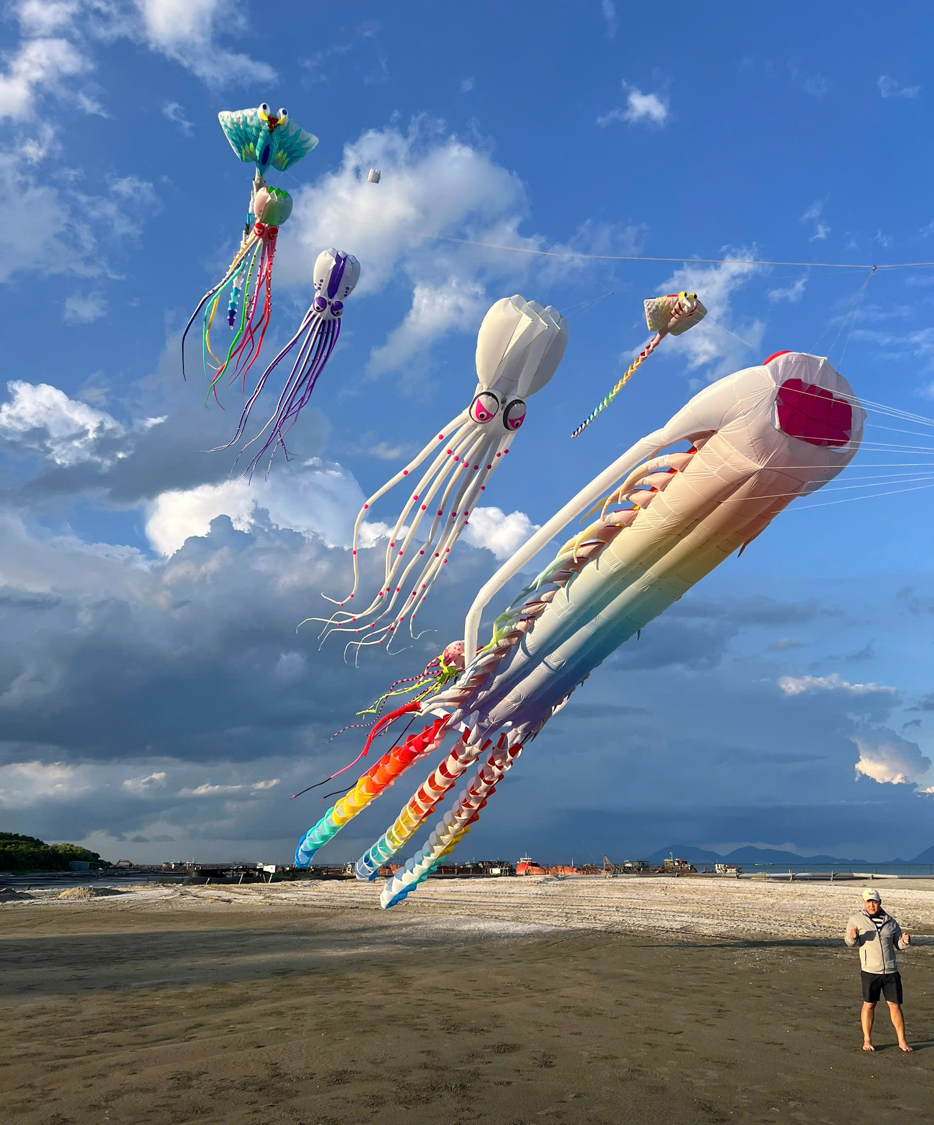 តន្ត្រីប្រជាប្រិយភាគខាងត្បូង និងសិល្បៈហោះហើរខ្លែងបន្ថែមពណ៌ដល់ពិធីបុណ្យ Can Gio Whale ឆ្នាំ 2025 - រូបថត 5