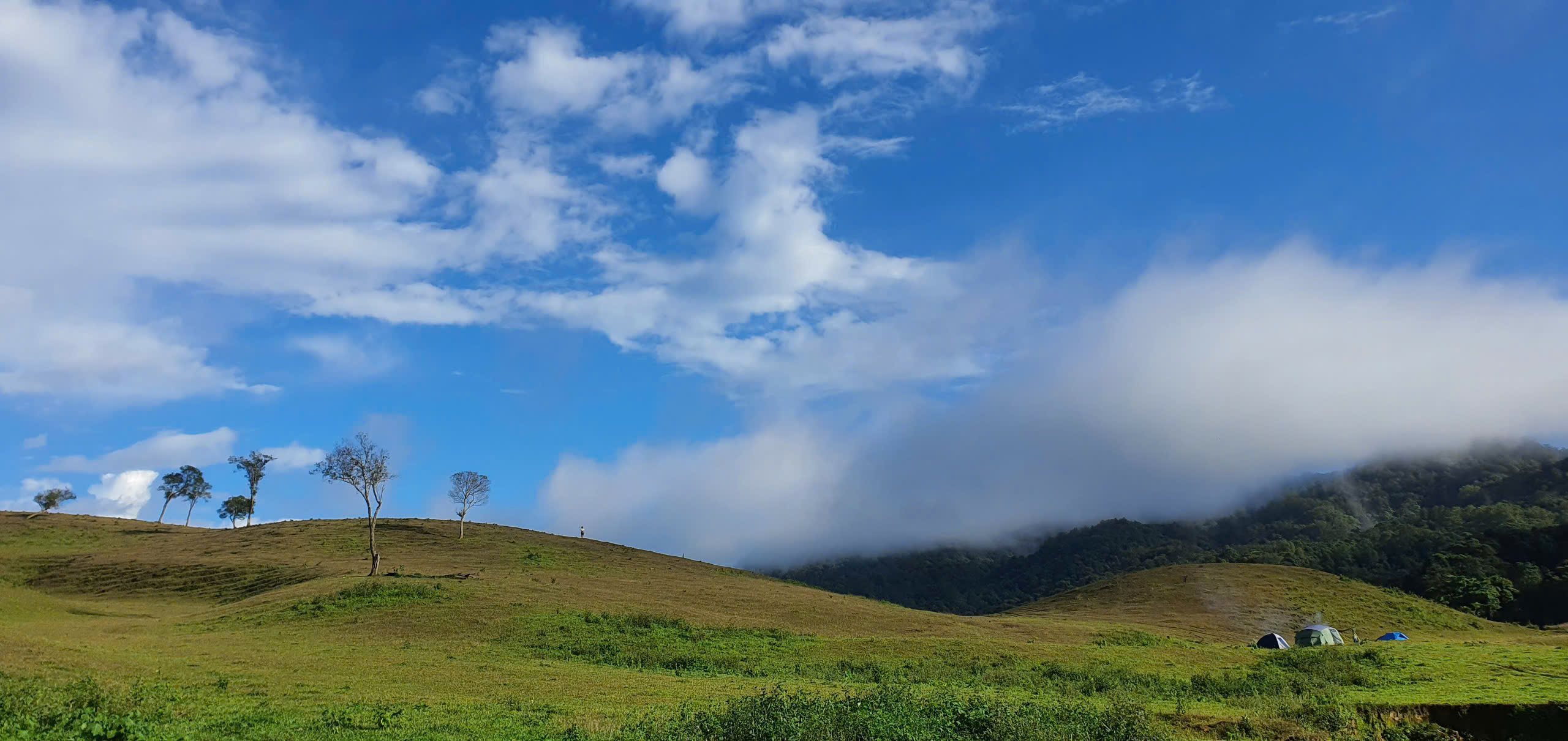 विशाल डाक प्लो सीमा के मध्य में एक चित्र के समान सुन्दर लघु