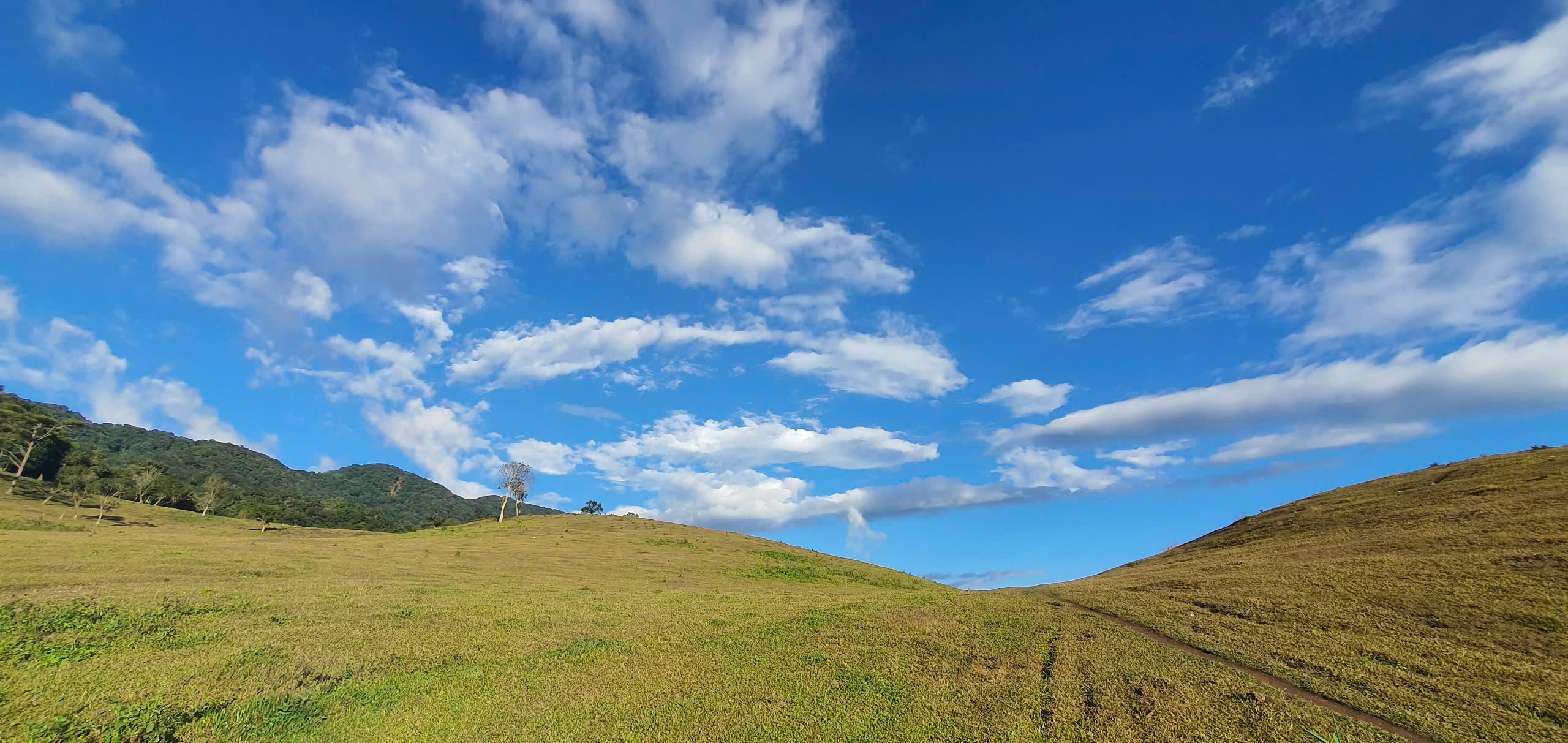 डाक प्लो की विशाल सीमा के मध्य में एक चित्र के समान सुन्दर लघु