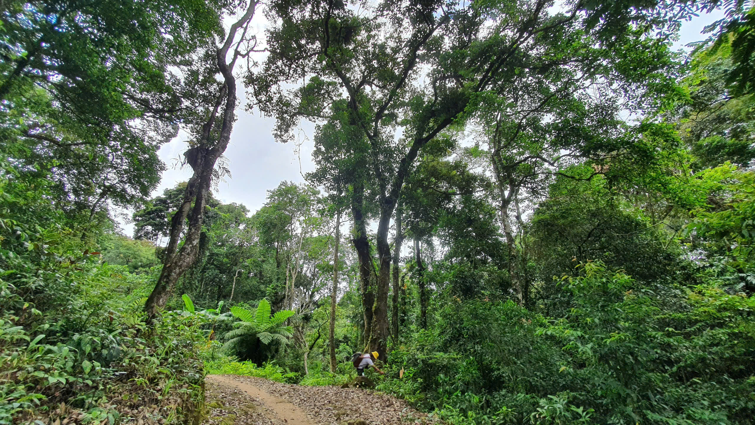 डाक प्लो की विशाल सीमा के मध्य में एक चित्र के समान सुन्दर लघु