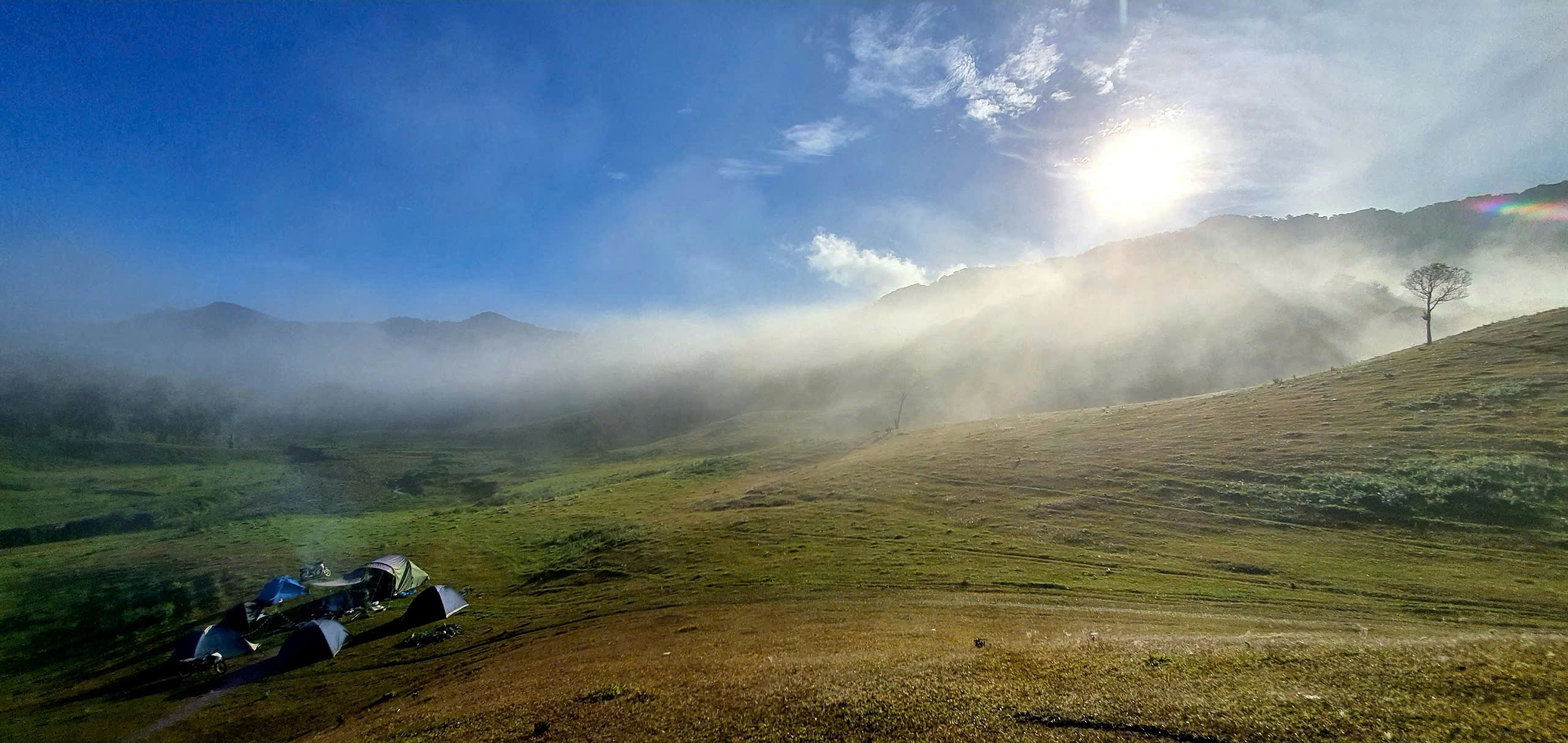 विशाल डाक प्लो सीमावर्ती जंगल के बीच में एक चित्र जैसा सुंदर लघु