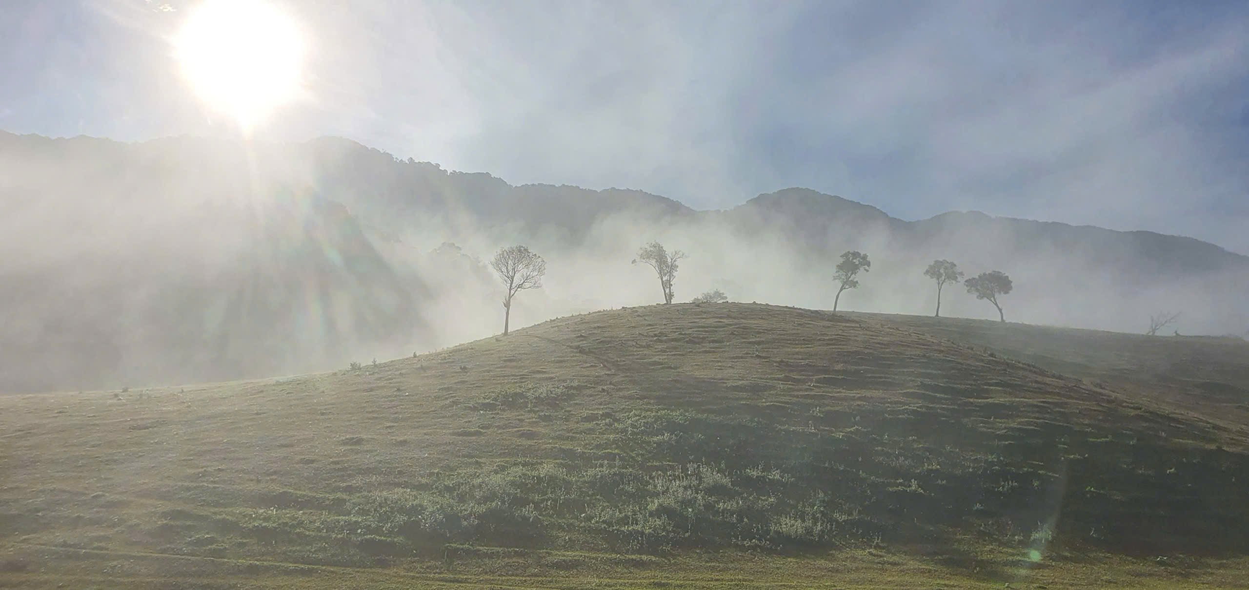 विशाल डाक प्लो सीमा के मध्य में एक चित्र के समान सुन्दर लघु