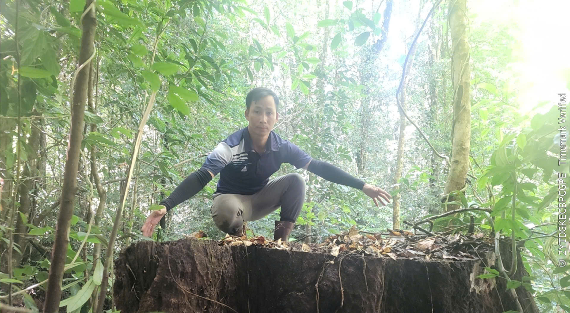 Vụ phá rừng ở xã Măng Ri (Quảng Ngãi): Sở NN&MT “hô biến” gốc tươi thành gỗ mục! - ảnh 4