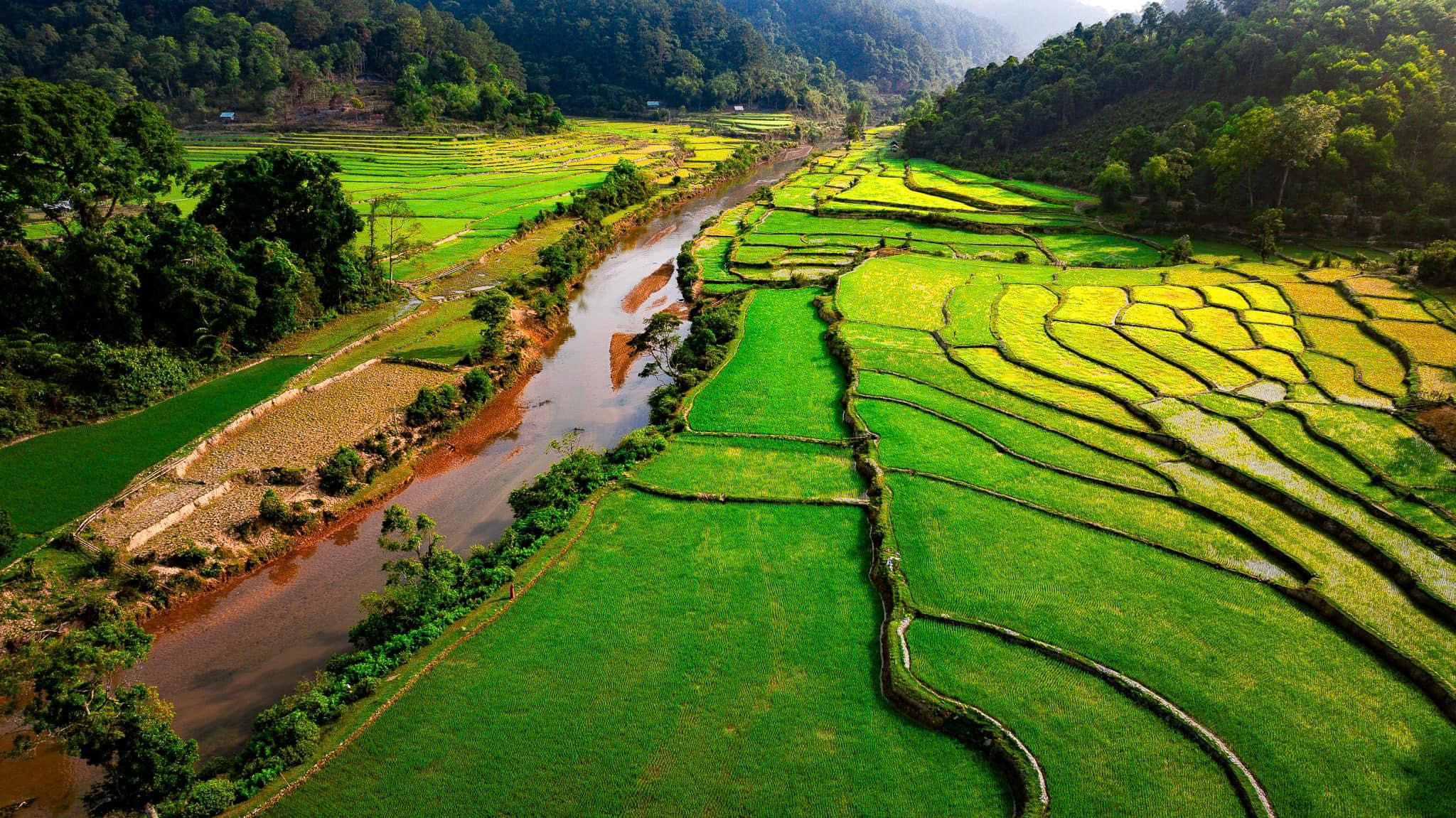 (مجلة إلكترونية) إطلاق العنان لمزايا 