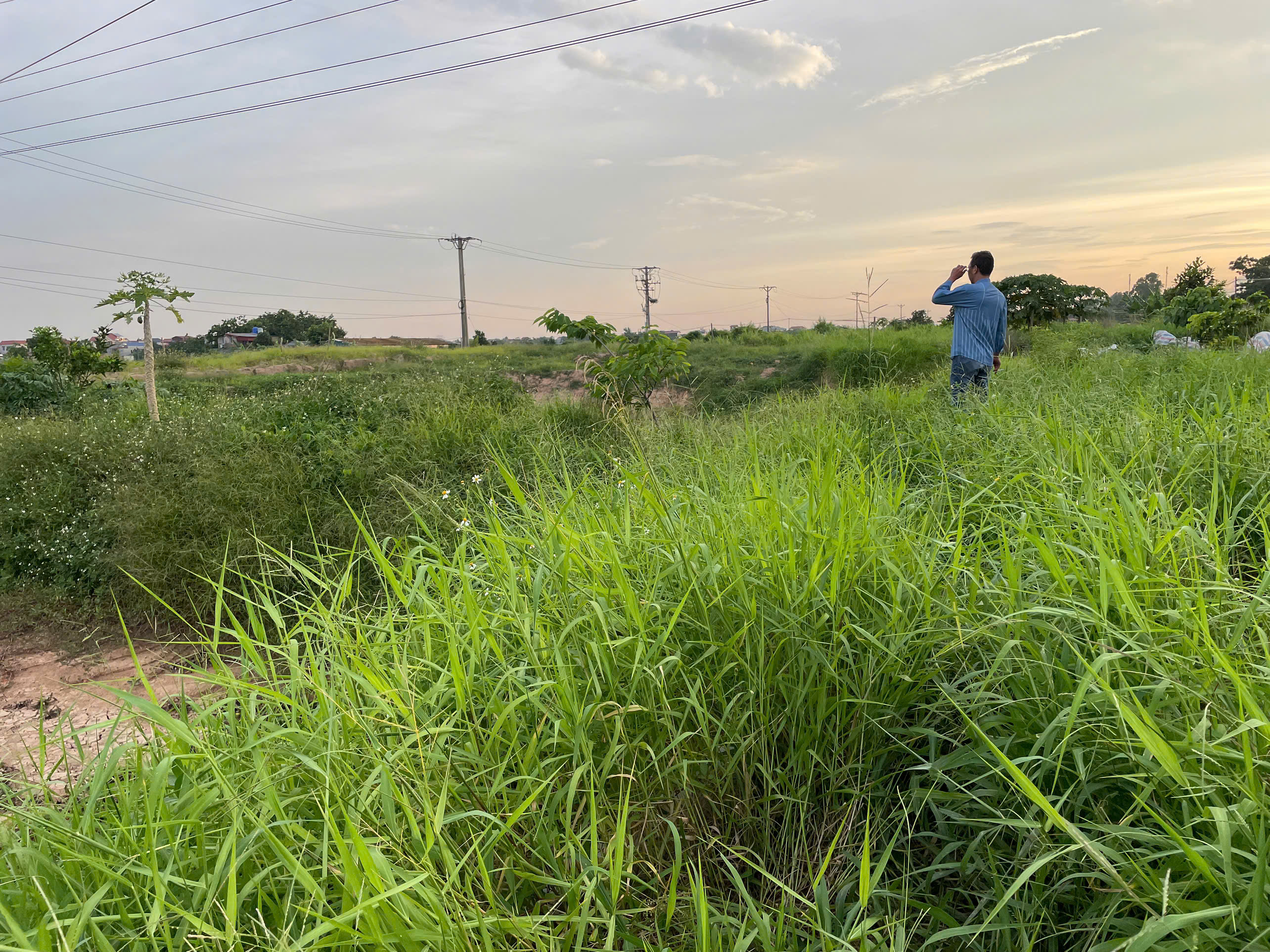 „Kdo by se odvážil to nahlásit, když je takhle opuštěný?“ - foto 2