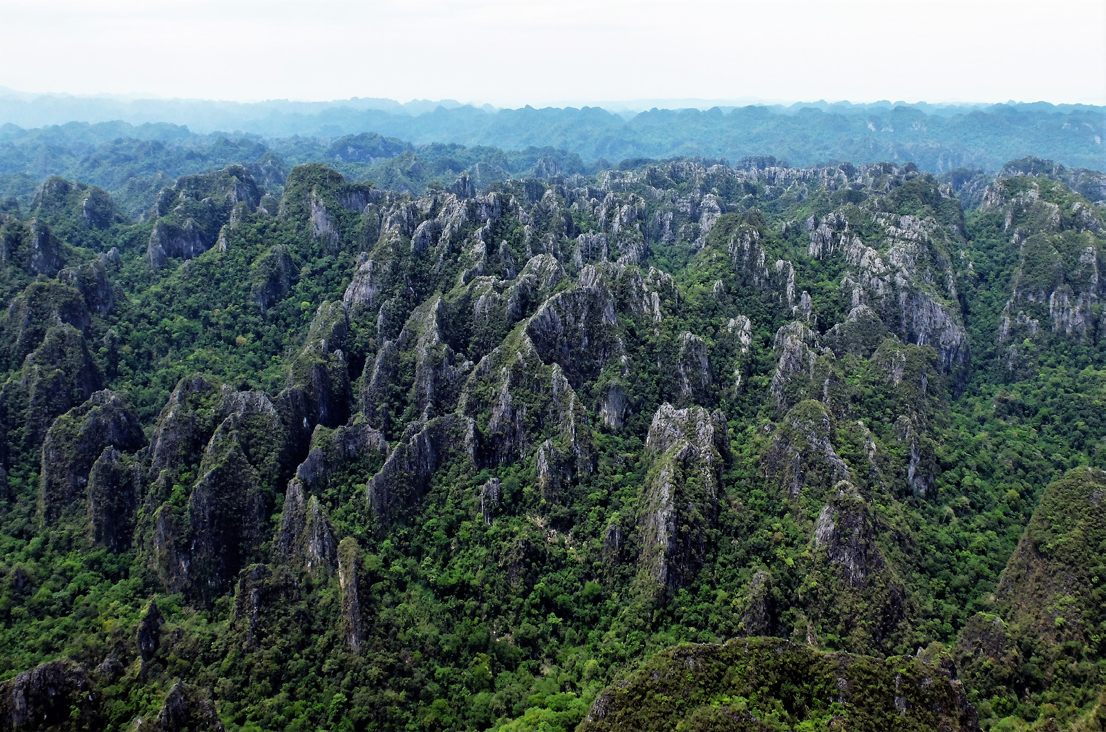 Symbol zvláštního přátelství - foto 2