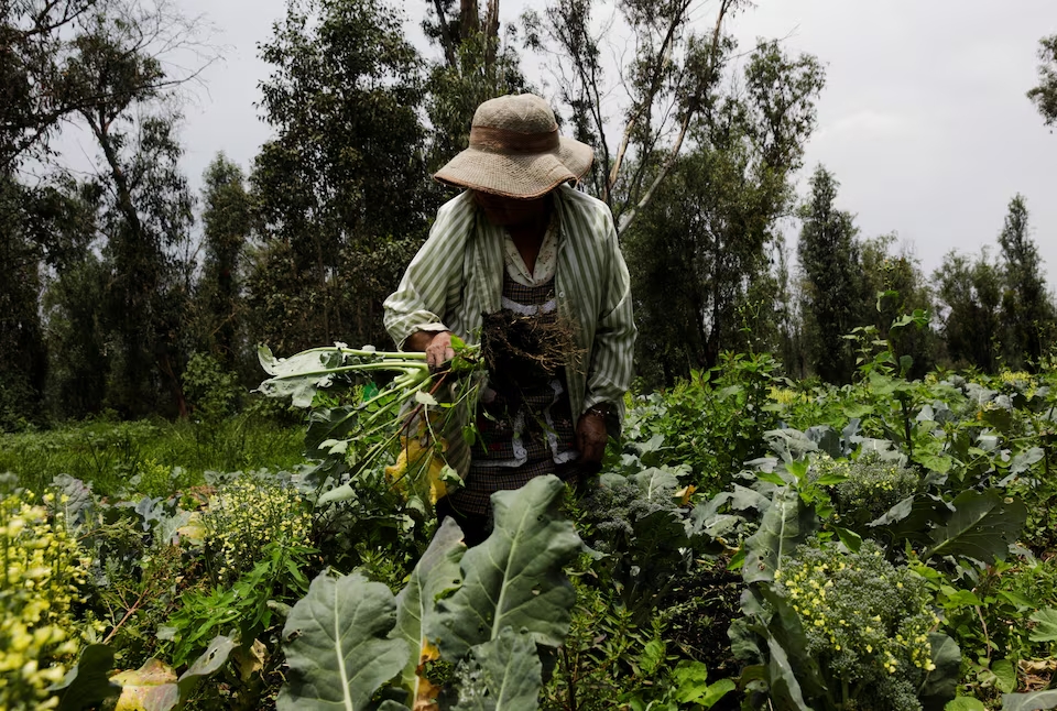 ຮ້ານອາຫານສູນເສຍສູນການທໍາອິດໃນ Mexico City - ຮູບພາບ 3