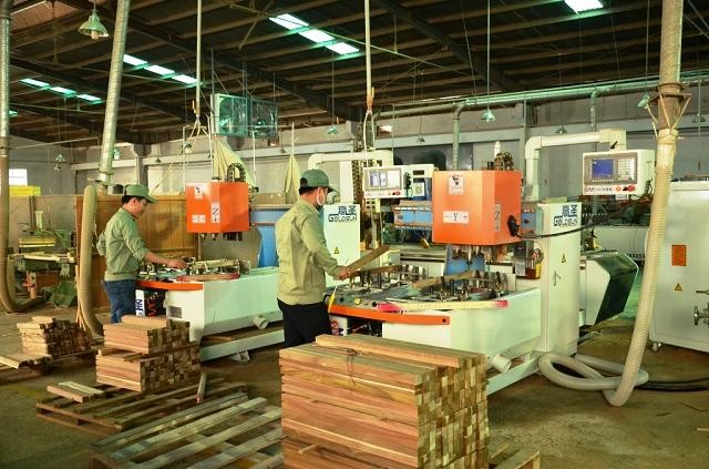 Phu Tai (PTB) រៀបចំផ្តល់ភាគហ៊ុនដើម្បីបង្កើនដើមទុន - រូបថត ១