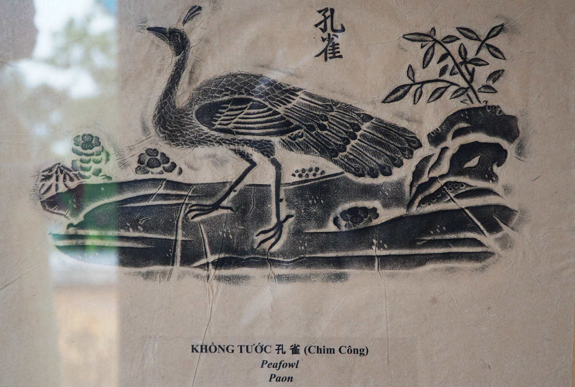 ការលើកកម្ពស់តម្លៃបេតិកភណ្ឌជើងកាមេរ៉ាទាំងប្រាំបួនតាមរយៈបទពិសោធន៍វប្បធម៌ - រូបថត ២