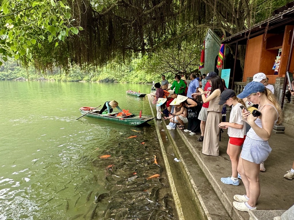 Ninh Binh: Bekendmaking van de hotline voor toerismeondersteuning - foto 1