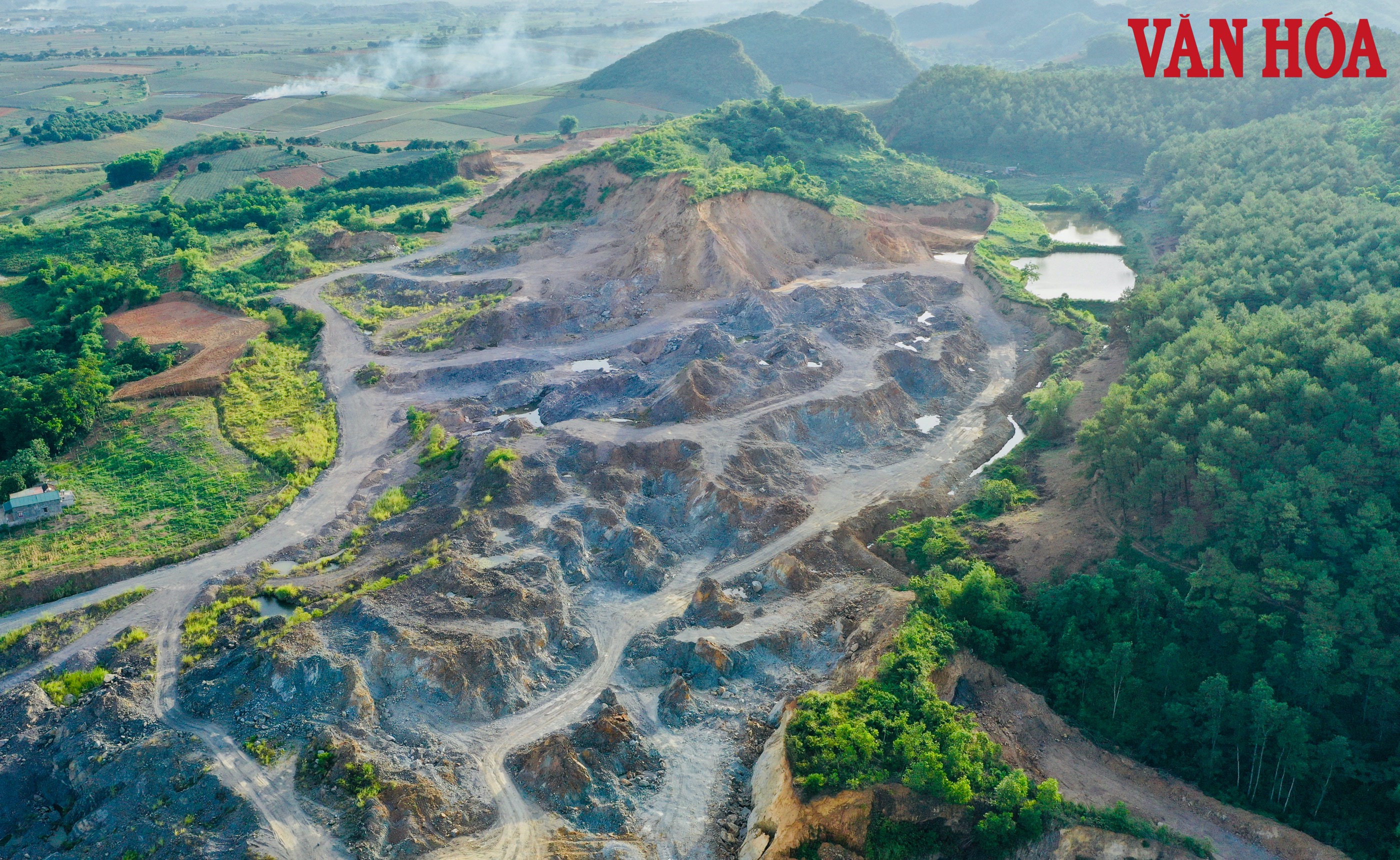 Ninh Bình: Đề nghị chuyển mục đích 123 ha rừng phòng hộ cho 3 Tập đoàn lớn - ảnh 1