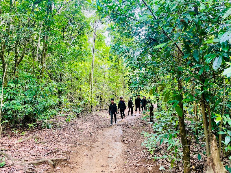 Gestionarea și protejarea pădurilor în spațiul digital - fotografia 2