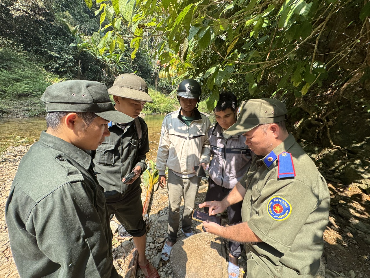 Gestionarea și protejarea pădurilor în spațiul digital - fotografia 1