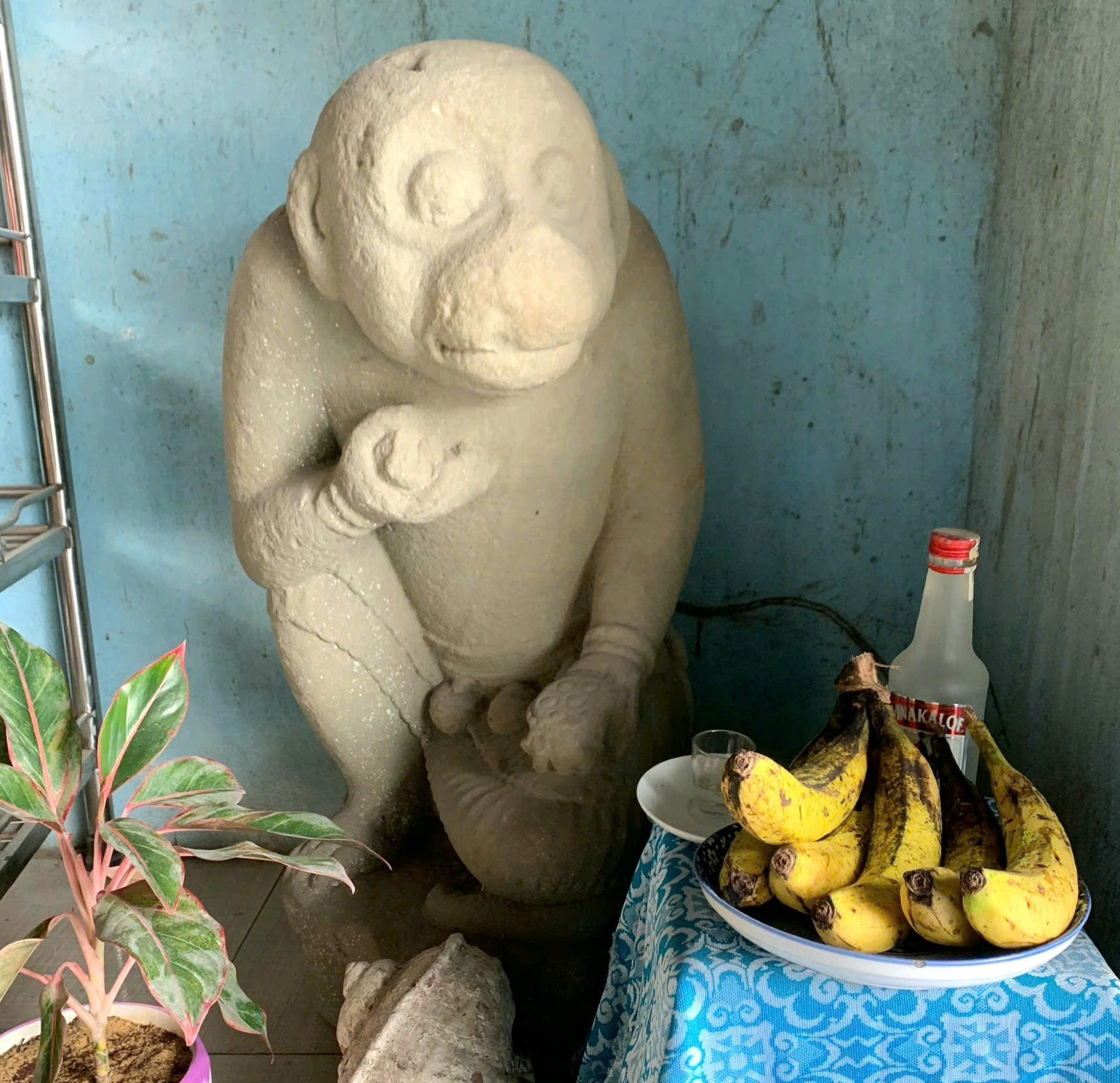 হনুমানের পাথরের ভাস্কর্যের সরকারি মালিকানা প্রতিষ্ঠা - ছবি ২