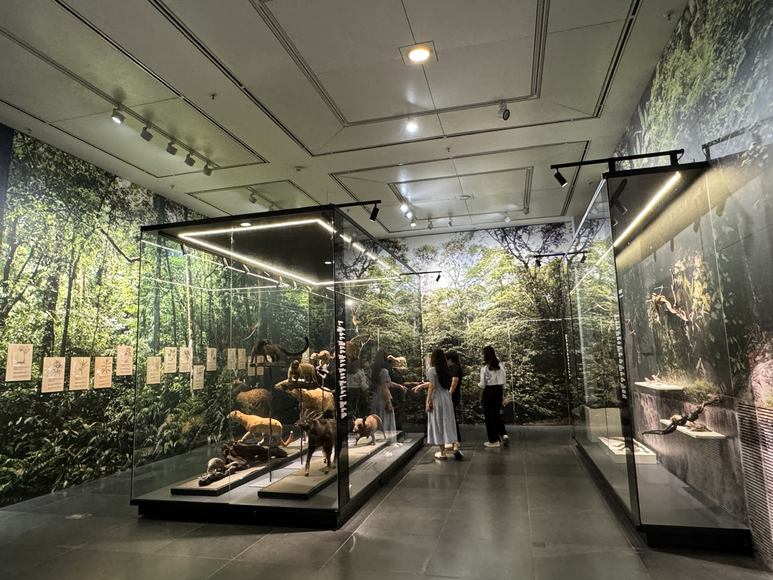 ຫໍພິພິທະພັນຮ່າໂນ້ຍ ຢຸດຕິການຕ້ອນຮັບນັກທ່ອງທ່ຽວຊົ່ວຄາວ - ຮູບທີ 2