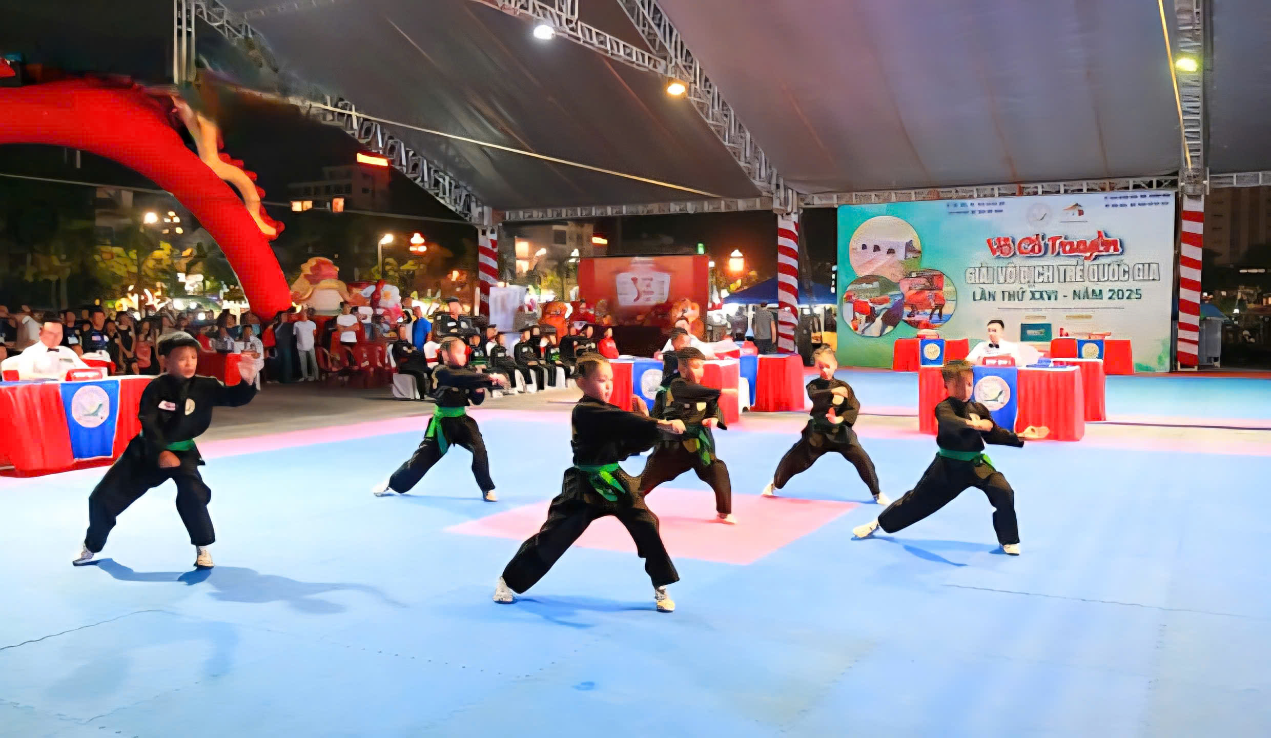 Vietnamesisk kampsport lyser upp på Thanh Hoas blå himmel - foto 1