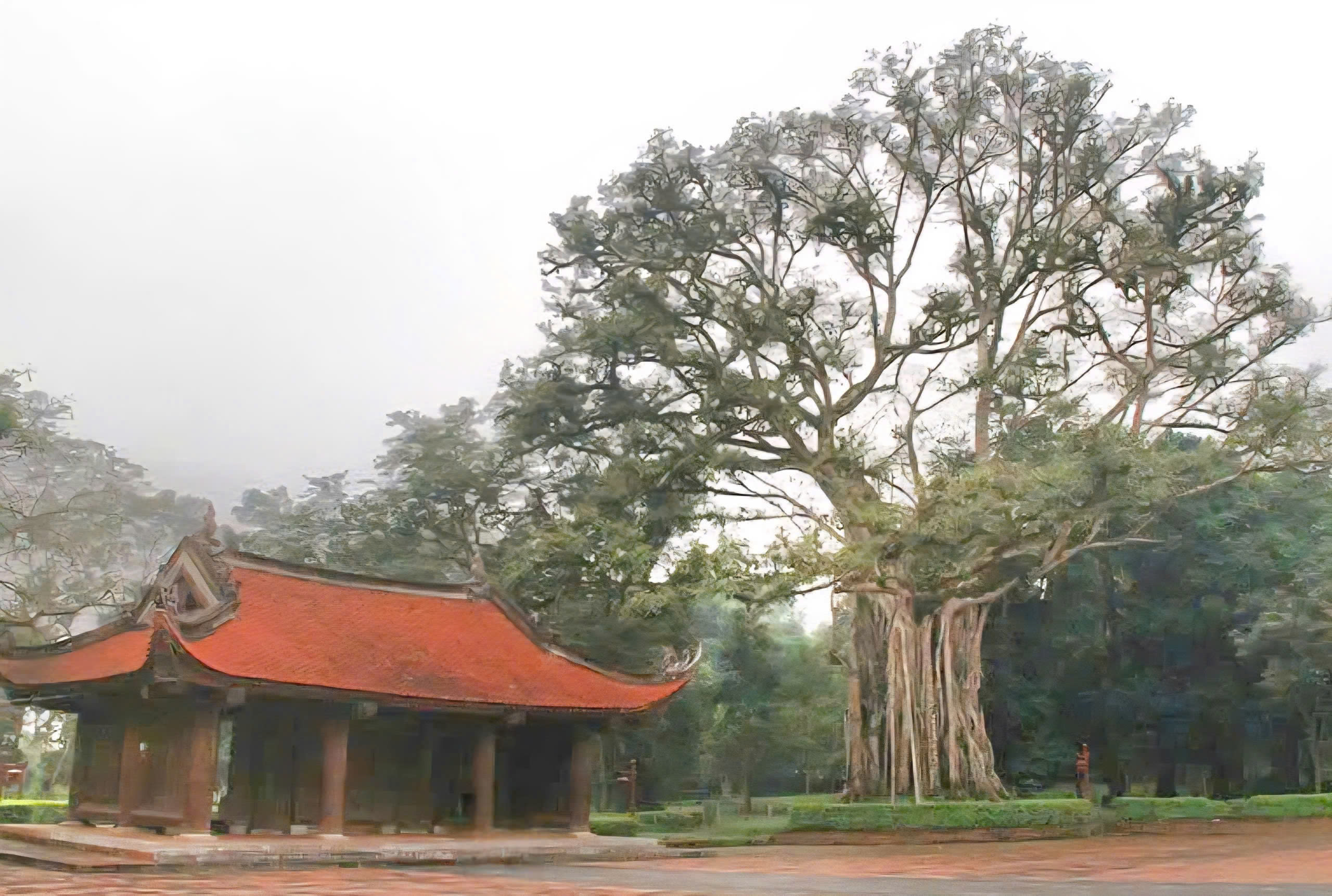 লাম কিনের আত্মাকে সংরক্ষণ: একটি রাজবংশের স্মৃতি পুনরুজ্জীবিত করা - ছবি ৪