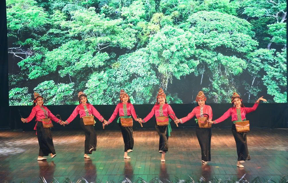 សាមគ្គីភាពវៀតណាម-ឡាវក្នុងរាត្រីសិល្បៈពិសេសនៅ Thanh Hoa - រូបថត ៤