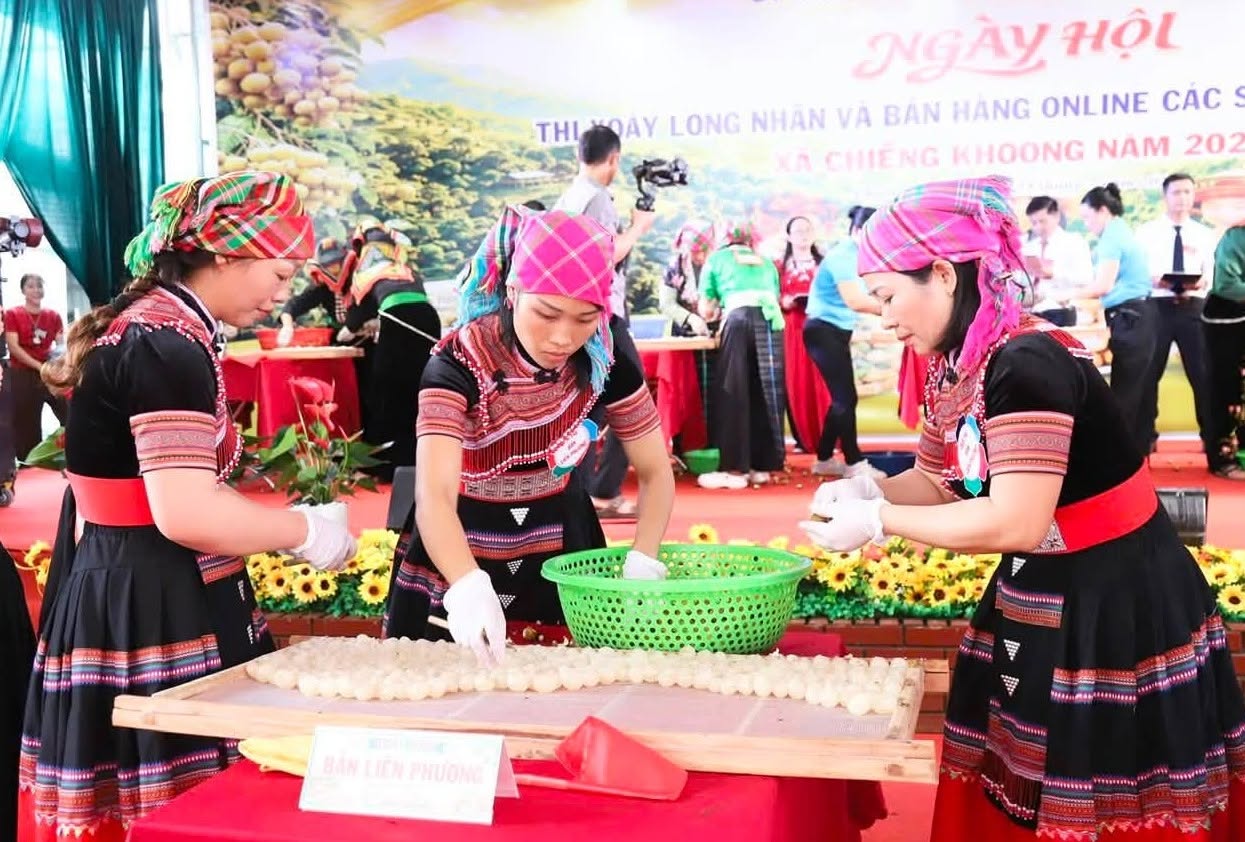 Mở lối đưa đặc sản nhãn Chiềng Khoong vươn xa bằng nền tảng số - ảnh 5