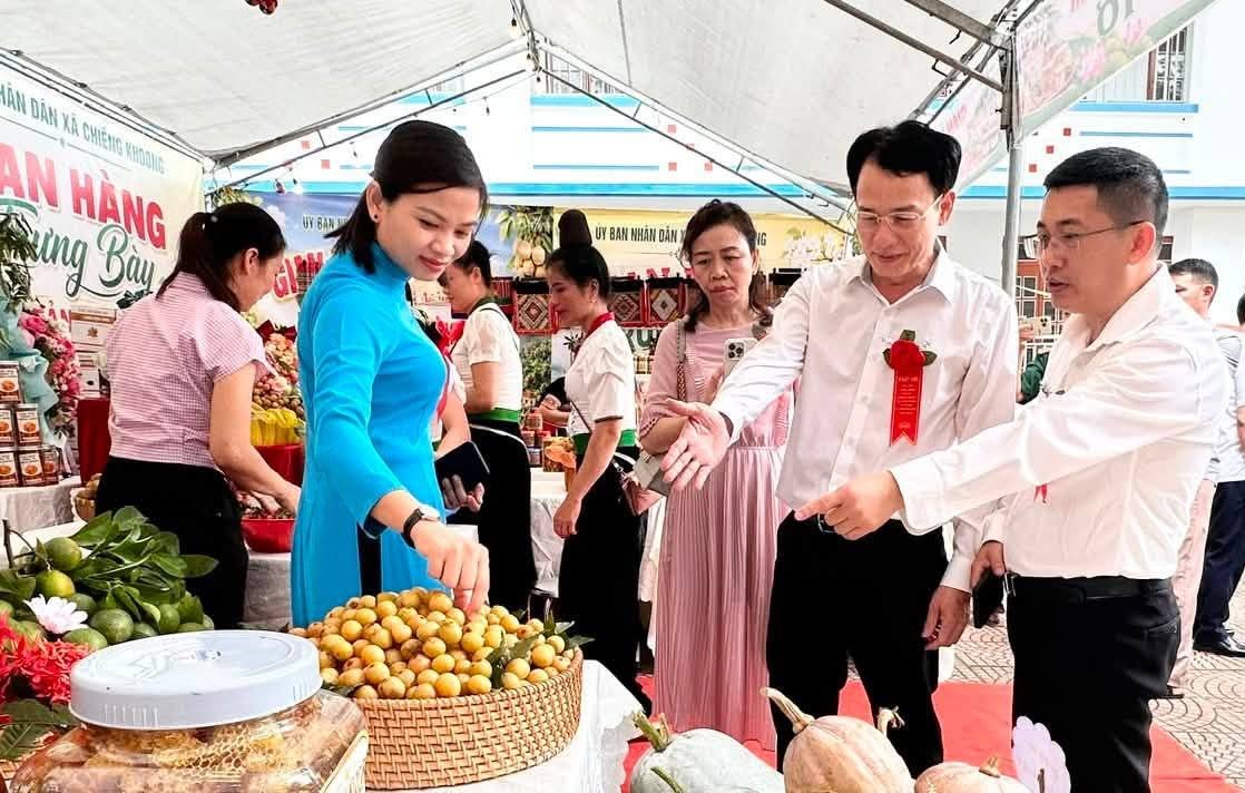 Mở lối đưa đặc sản nhãn Chiềng Khoong vươn xa bằng nền tảng số - ảnh 1