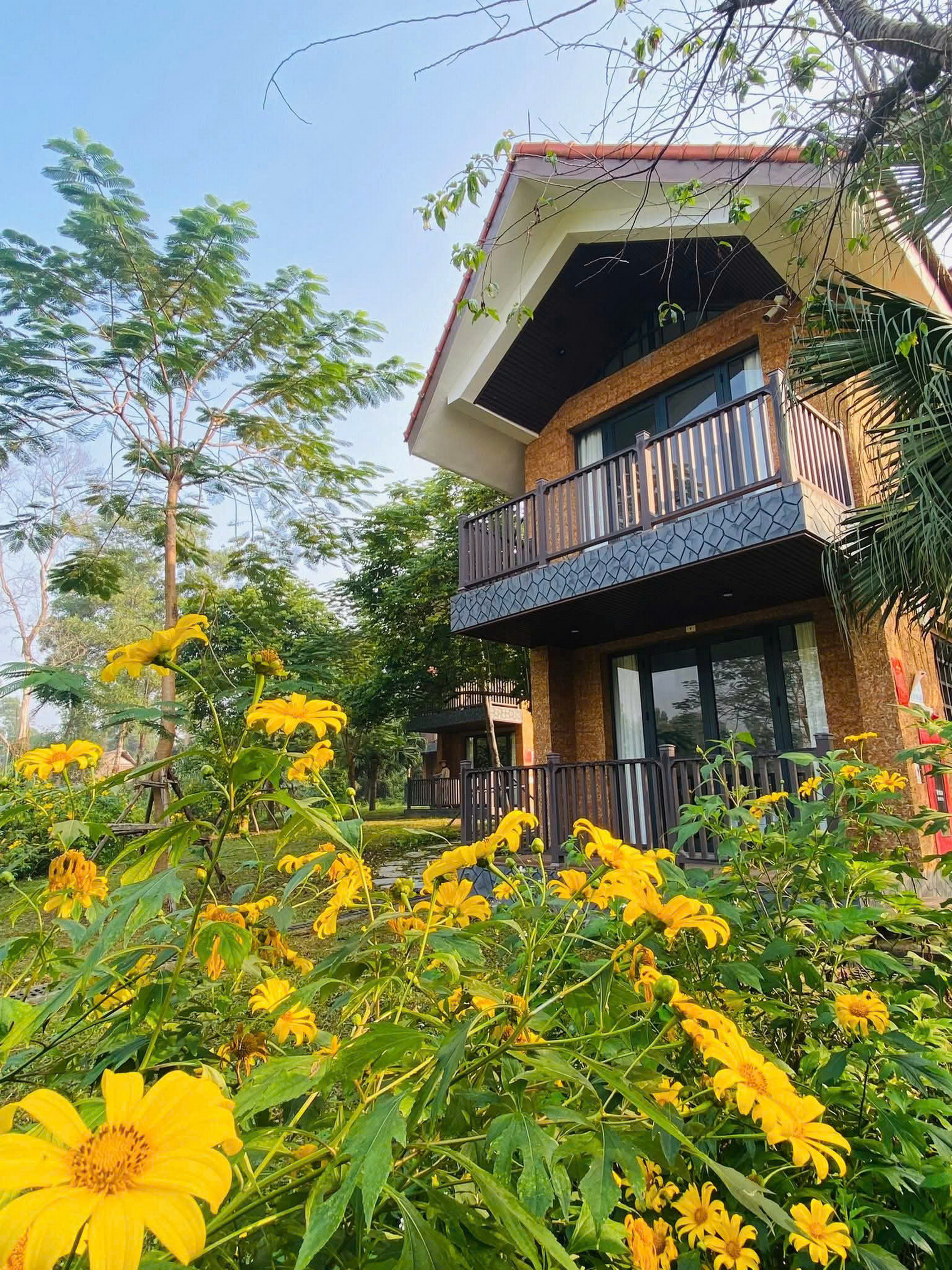 Gallery - Điểm du xuân đẹp nao lòng chỉ cách Hà Nội 40 km