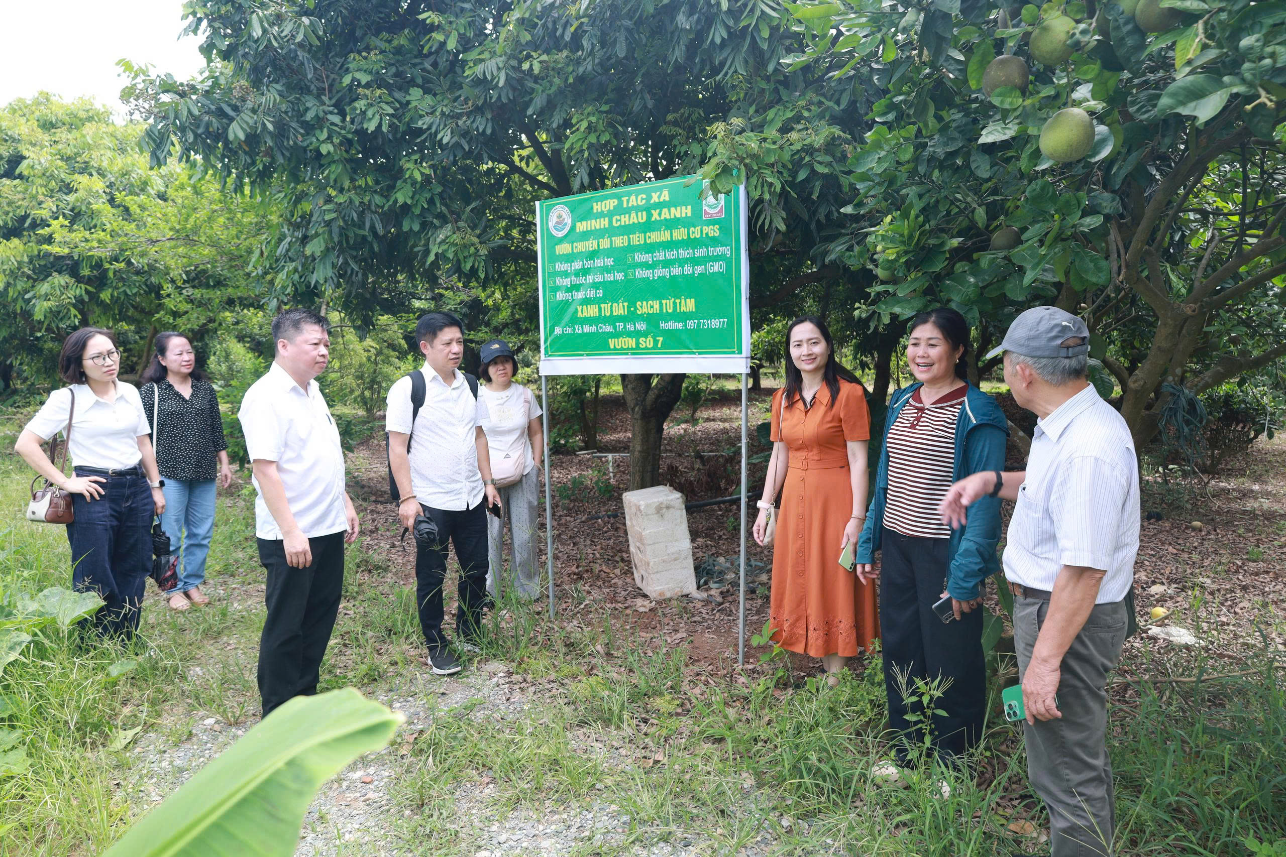 Minh Châu tìm hướng đánh thức tiềm năng du lịch sinh thái giữa sông Hồng - ảnh 1