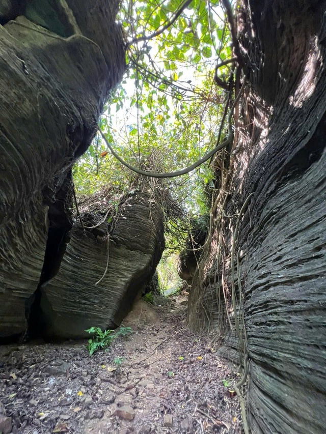 The unique shaped rock stimulates the viewer's imagination.