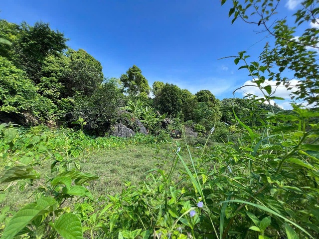 The path to Bat Cave goes through the dense forest, which used to be a revolutionary base during the war.