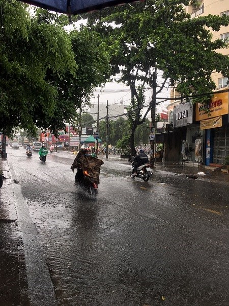 TP.HCM xuất hiện cơn mưa “vàng” giải nhiệt - ảnh 1