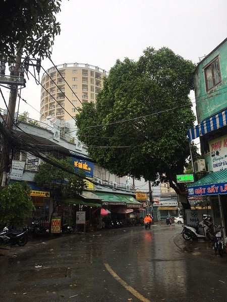TP.HCM xuất hiện cơn mưa “vàng” giải nhiệt - ảnh 3