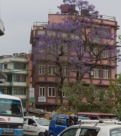 Kathmandu mùa phượng tím - ảnh 4