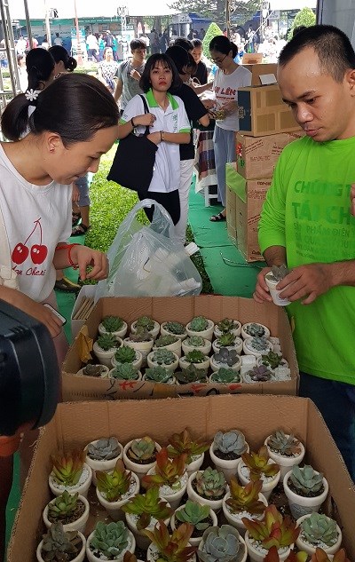 TPHCM: Người dân tích cực hưởng ứng Ngày hội Sống Xanh - ảnh 2