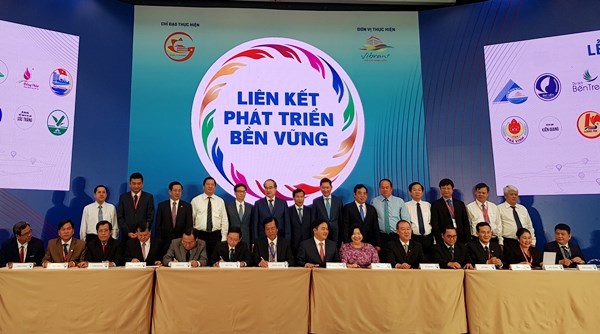 TP.HCM và Đồng bằng sông Cửu Long: Liên kết để phát triển bền vững - ảnh 1