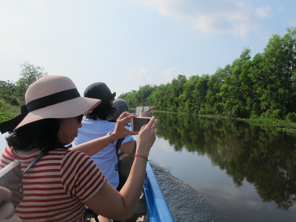 Đến “Cánh đồng  bất tận” mùa nước nổi - ảnh 4