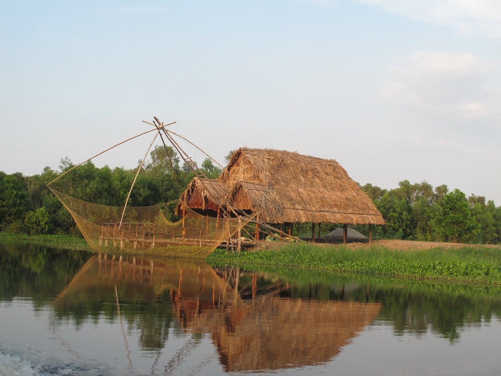 Đến “Cánh đồng  bất tận” mùa nước nổi - ảnh 5