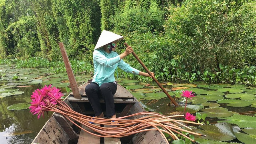 Đến “Cánh đồng  bất tận” mùa nước nổi - ảnh 2