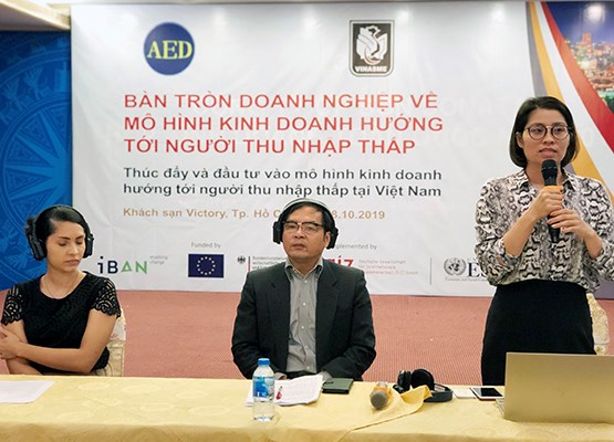Cần có chính sách hỗ trợ mô hình kinh doanh hướng đến người thu nhập thấp - ảnh 1