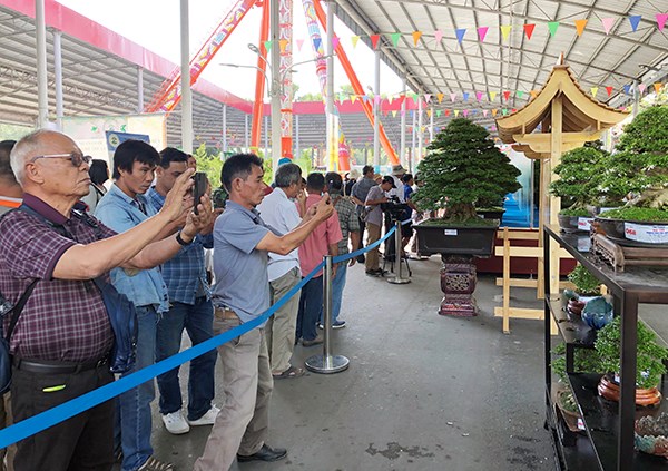 Khai mạc Lễ hội Bonsai & Suiseki châu Á - Thái Bình Dương - ảnh 1
