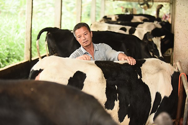 Độ an toàn của sữa tươi Cô gái Hà Lan tăng từ 10 lên 11 lần so với chuẩn Việt Nam - ảnh 3