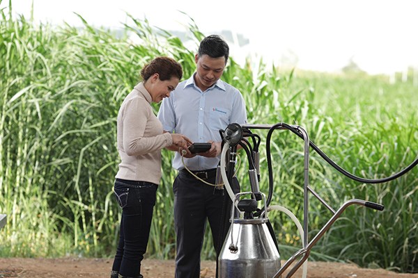 Cô gái Hà Lan tự hào có nguồn sữa nguyên liệu lớn và an toàn hơn chuẩn 11 lần - ảnh 2
