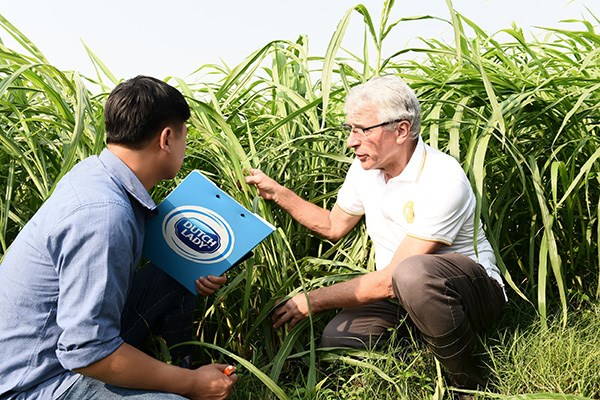 Cô gái Hà Lan tự hào có nguồn sữa nguyên liệu lớn và an toàn hơn chuẩn 11 lần - ảnh 4
