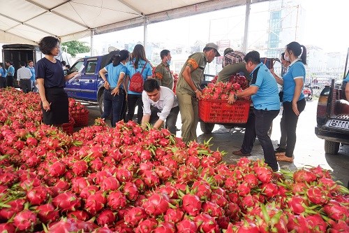 Hỗ trợ tiêu thụ 40 tấn nông sản - ảnh 3